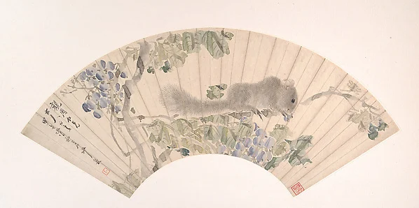 Squirrel and Grapes — Sha Fu