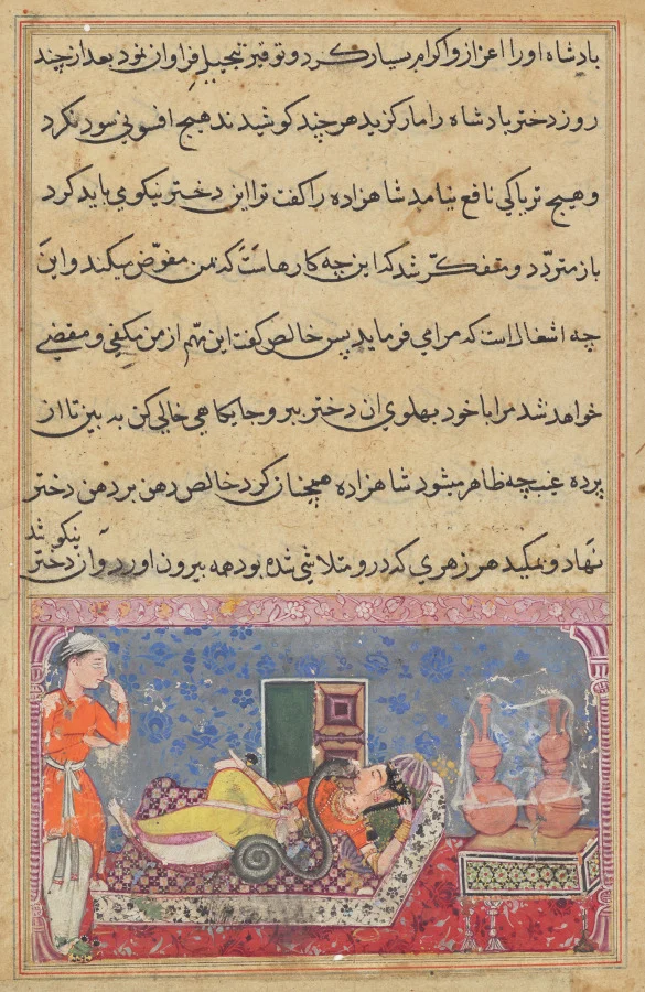 Khalis repays the prince for his kindness by changing into a snake and sucking the poison from the king’s daughter, from a Tuti-nama (Tales of a Parrot): Eighteenth Night