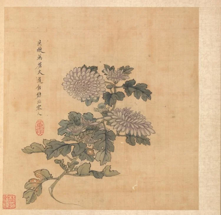 Paintings after Ancient Masters: Chrysanthemum