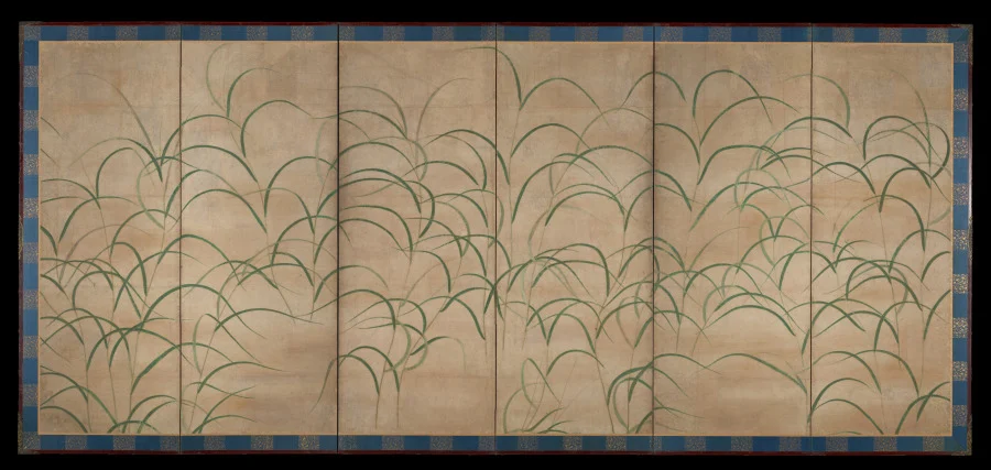 Susuki Grass