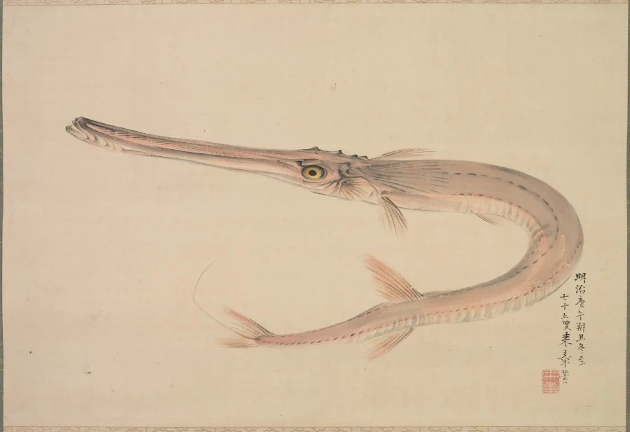 Needlefish (Yagara) — Nakajima Raishō (Japanese, 1796–1871)
