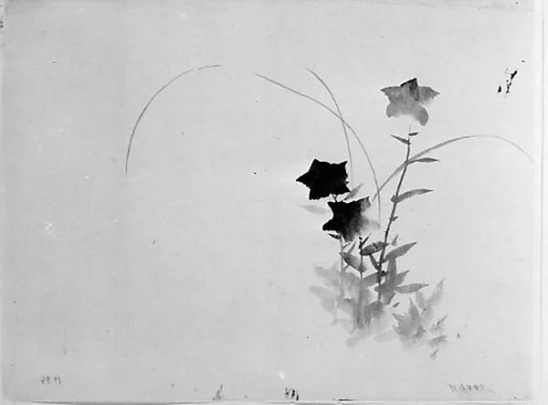 Bellflower — Hokusai School