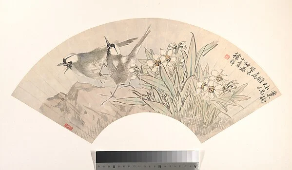 Birds and Narcissus