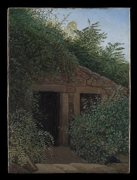 An Overgrown Mineshaft