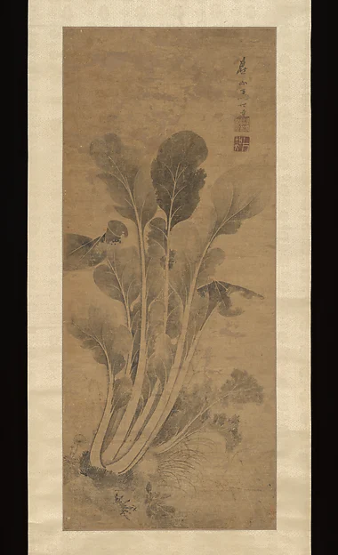 Cabbage — Ma Shida