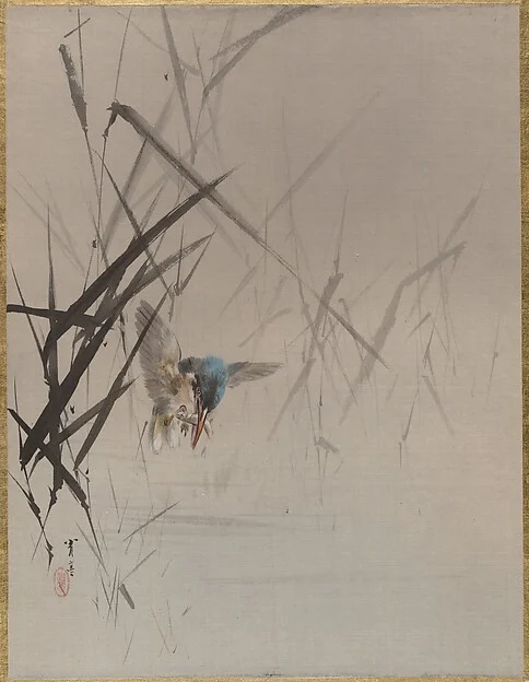 Bird Catching Fish Among Reeds