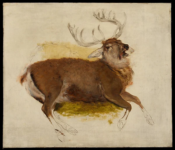 Dying Stag