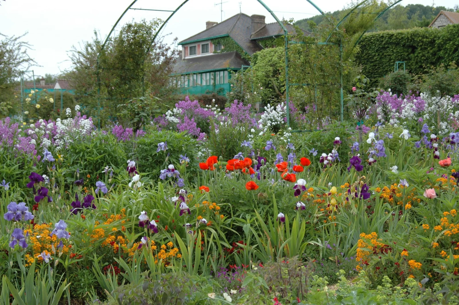 Climate Change Threatens Monet's Giverny Nasturtiums