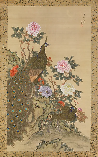 Peacocks and Peonies