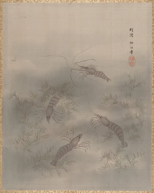 Shrimp (Ebi) — Seki Shūkō