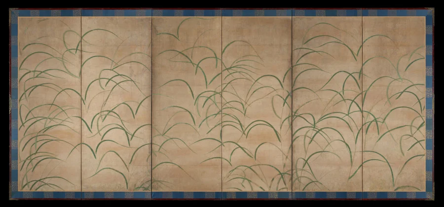 Susuki Grass