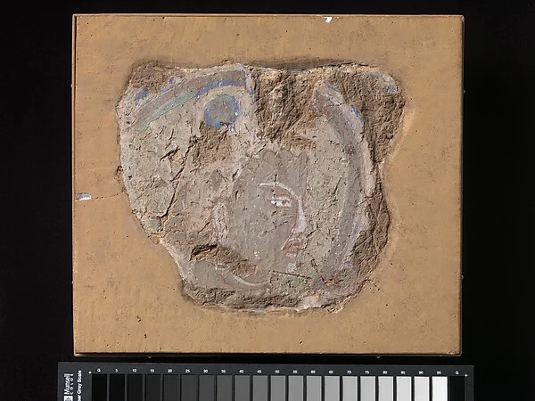 Head of a Buddhist Image